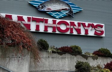 Anthony's at Squalicum Harbor