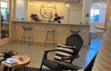 NEKO Cat Cafe Bellingham