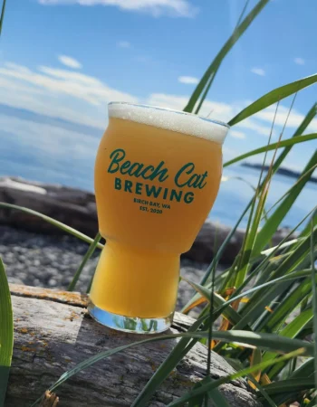 Beach Cat Brewing