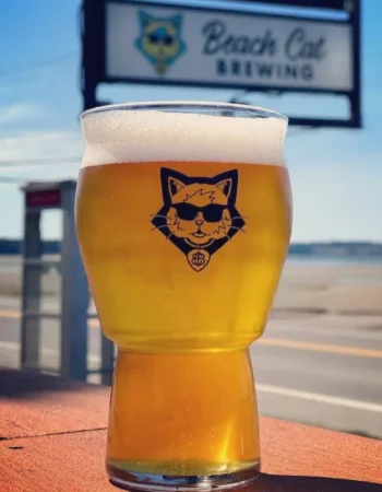 Beach Cat Brewing