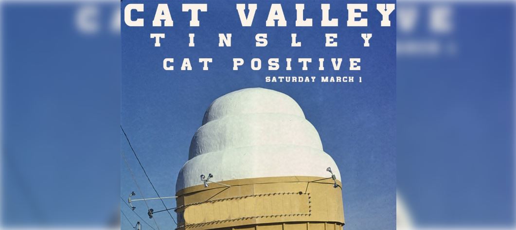 Cat Valley, Tinsley, Cat Positive Indie rock, pop punk, garage rock