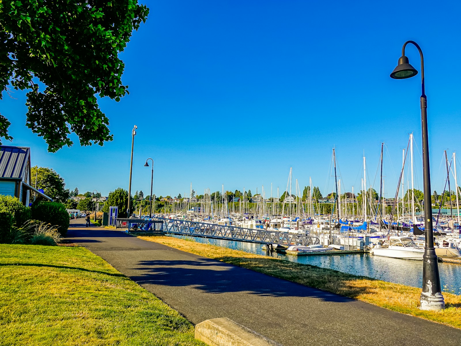 white and blue boat on dock during daytime