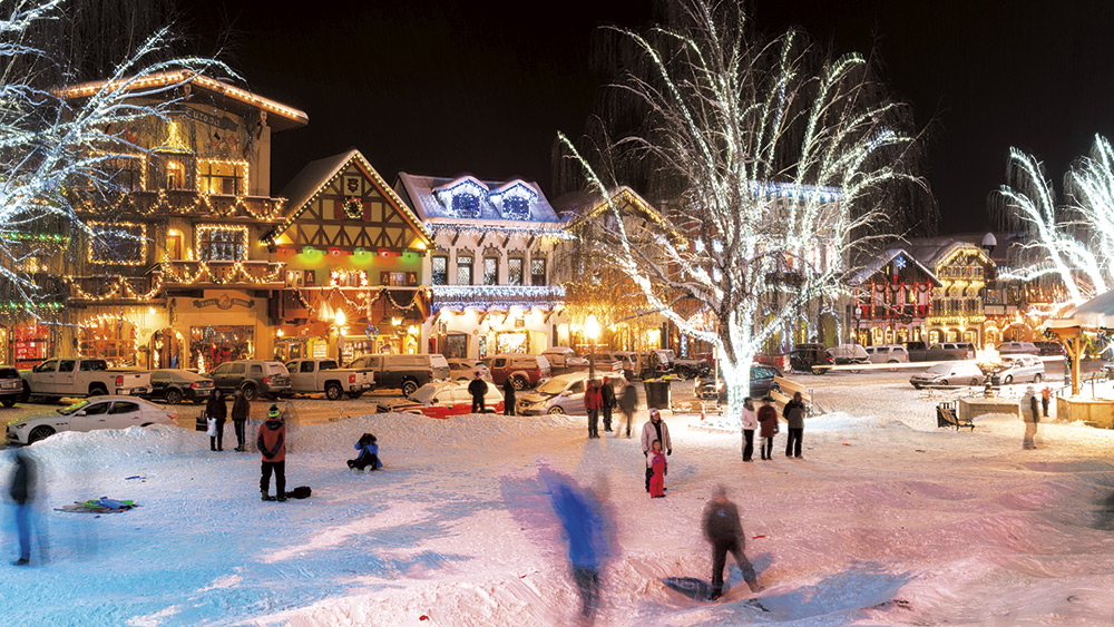 Bellingham WA Lights