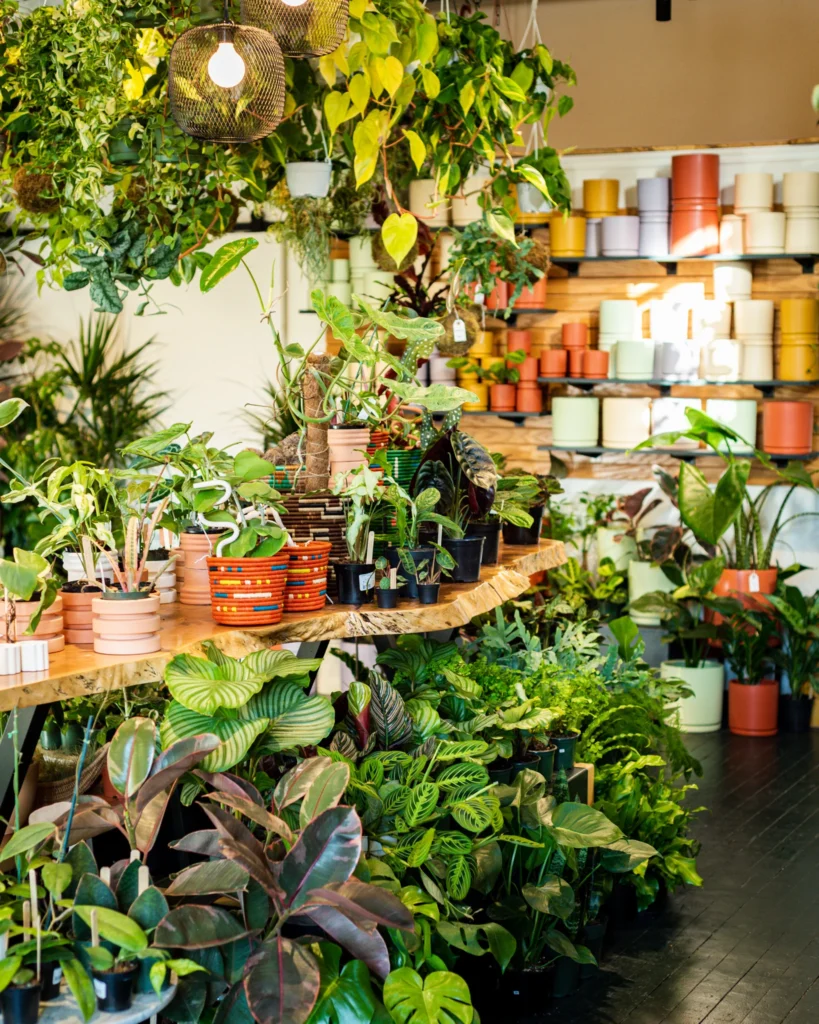 Houseplants & Indoor Greenery