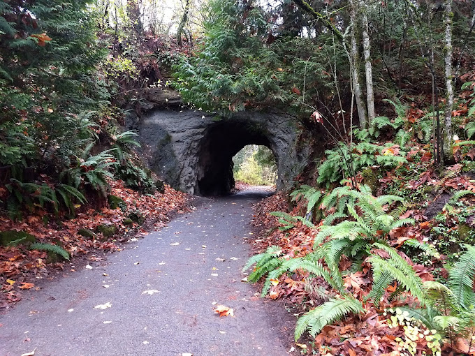 Sehome Hill Arboretum