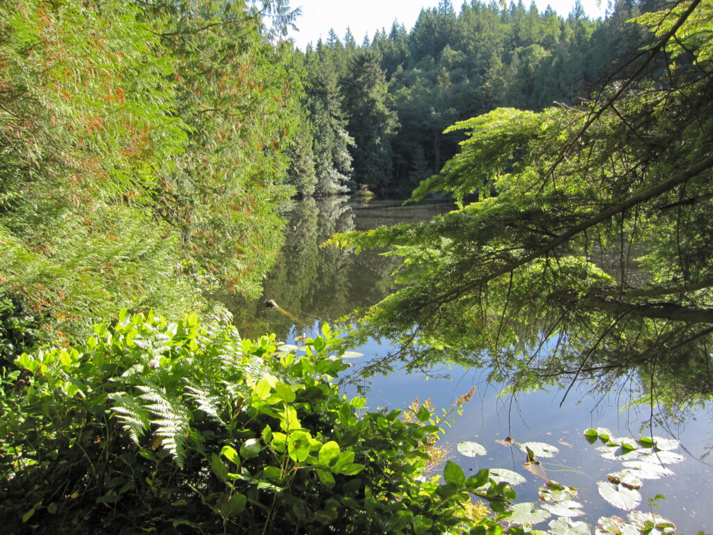 North Chuckanut Mountain Trailhead