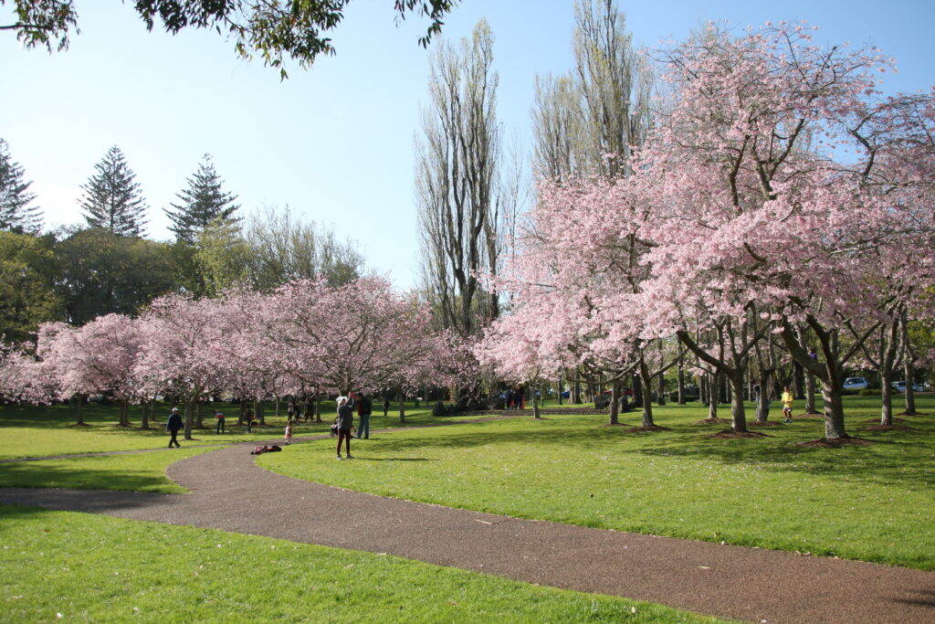 Cornwall Park