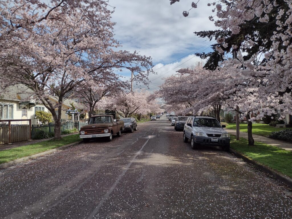 Fairhaven Village Green