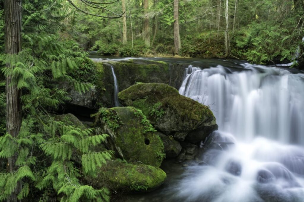 Hiking Near Bellingham