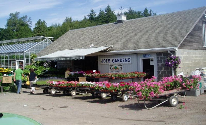 Joe’s Gardens