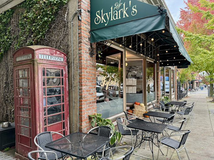 Skylark’s Hidden Café