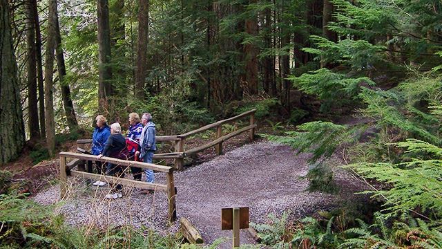 Stimpson Family Nature Reserve