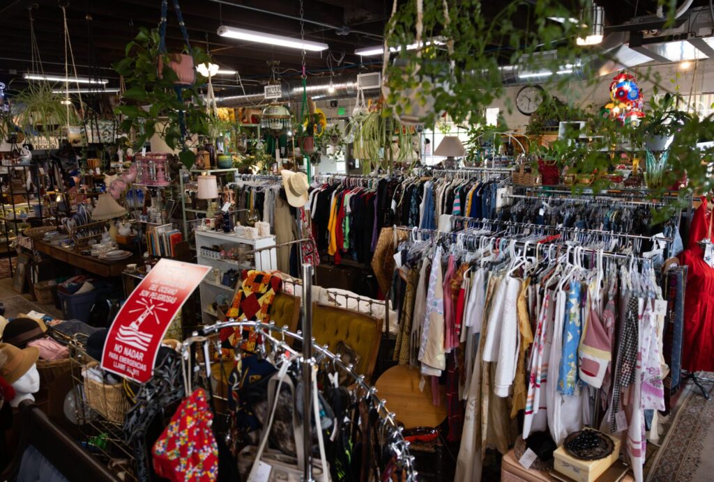 Vintage Clothing & Curated Shops