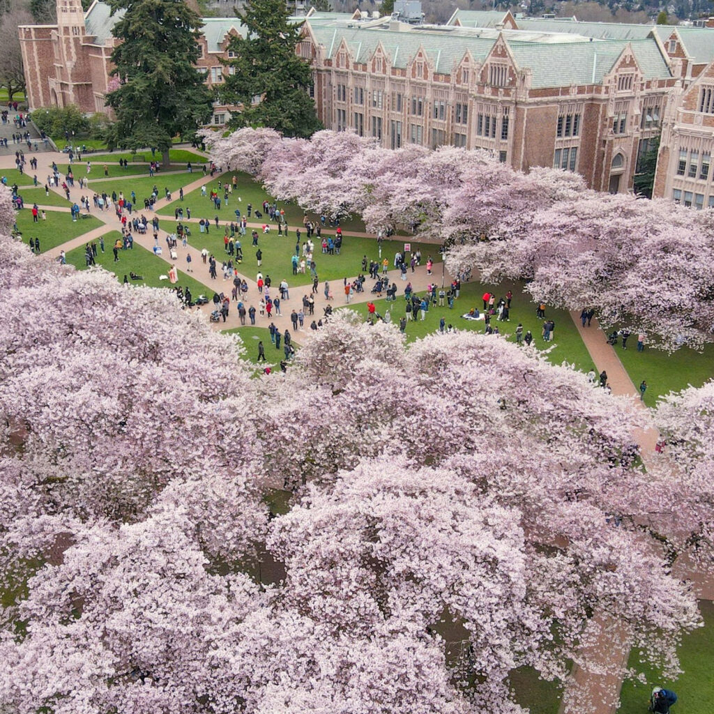 Western Washington University