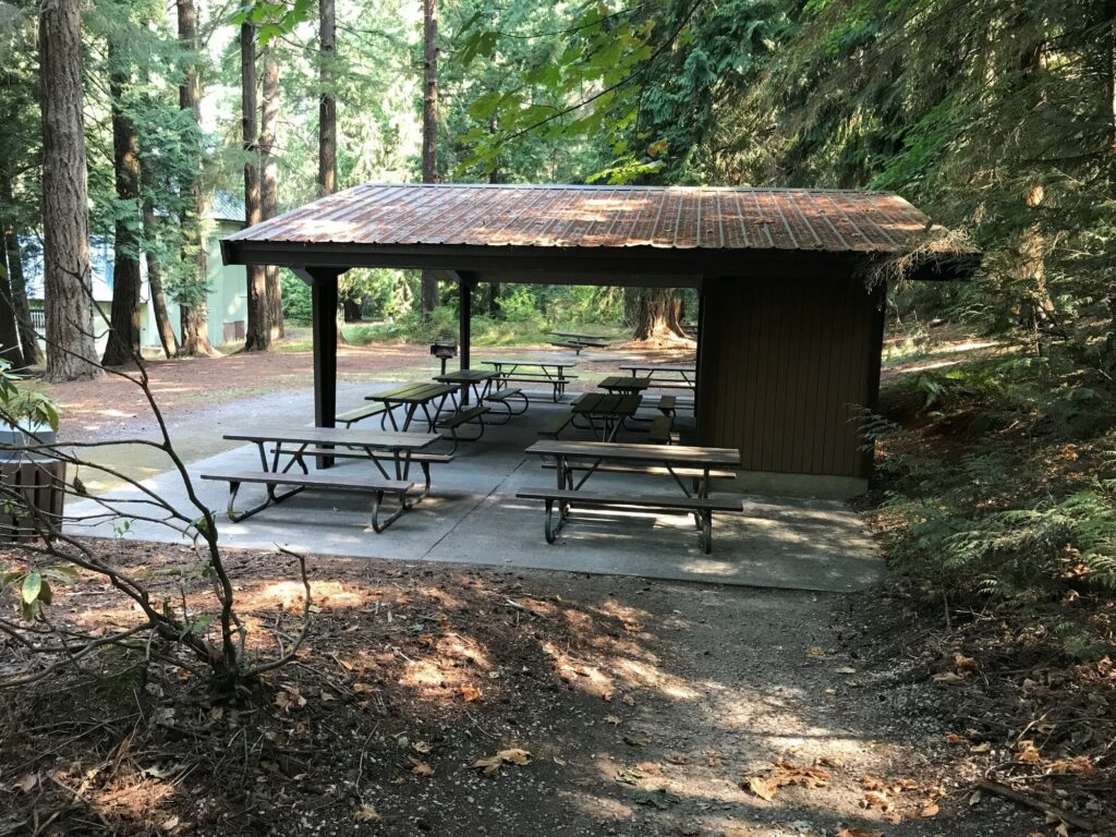 Whatcom Falls Park Picnic