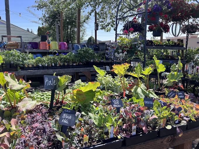 Garden Spot Nursery